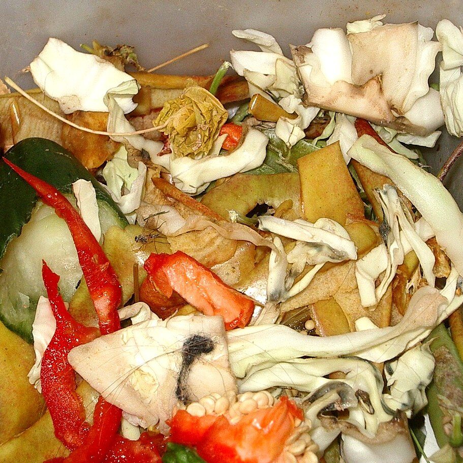 1200px-Biodegradable_waste
