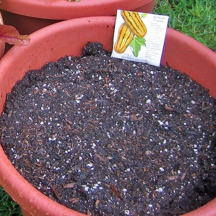 Potting_soil