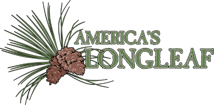 americaslongleaflogo