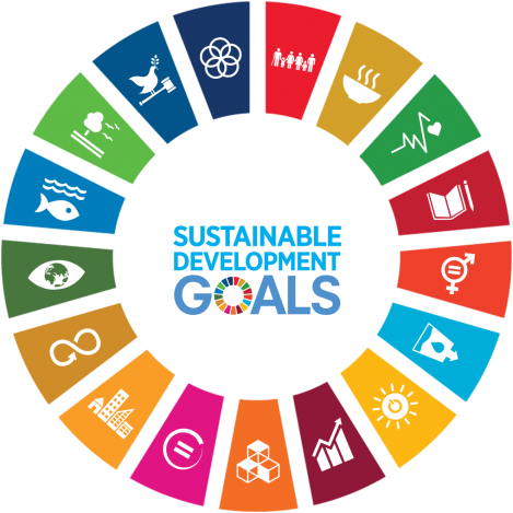 SDG wheel