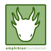 amphfnd