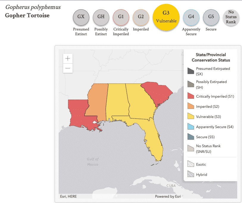 Conservation status at the state level. NatureServe Explorer