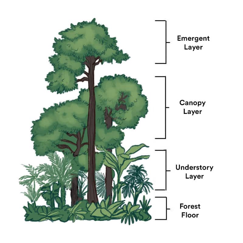 diagram-1