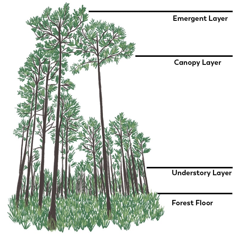 diagram-2