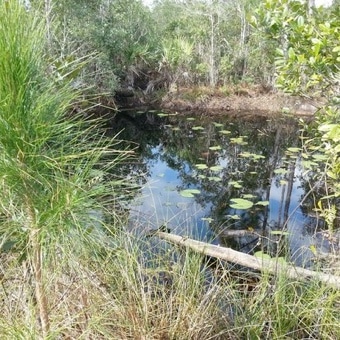 water3