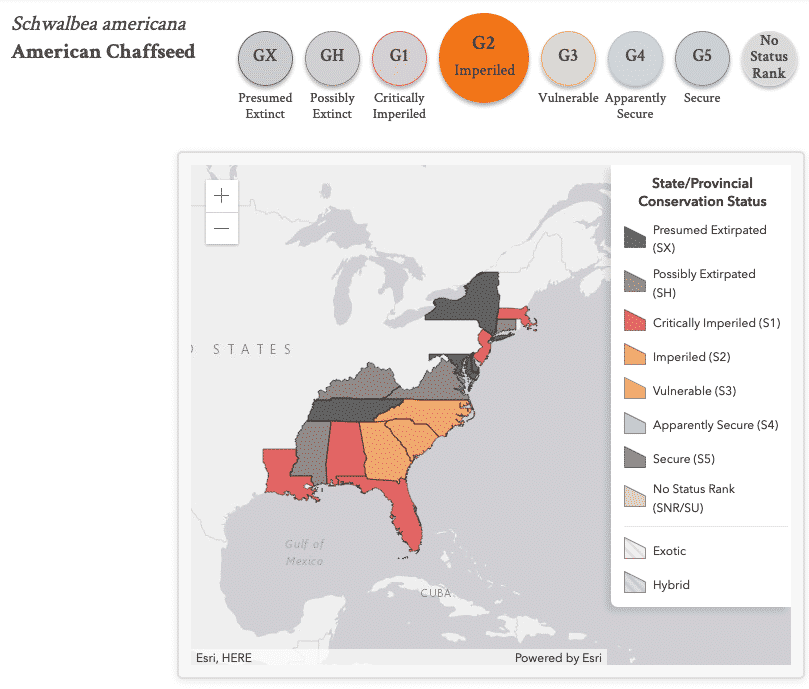 State Level Conservation Status- Nature Serve