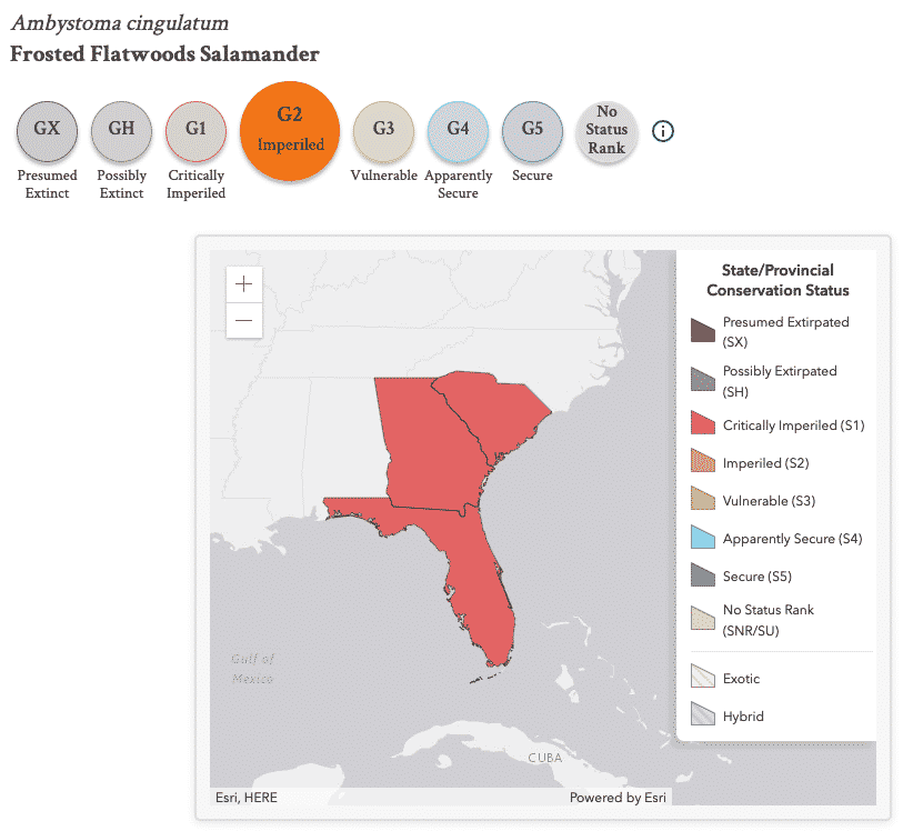 State Level Conservation Status - NatureServe