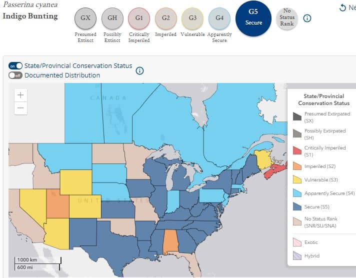 Conservation status at the state level. NatureServe Explorer