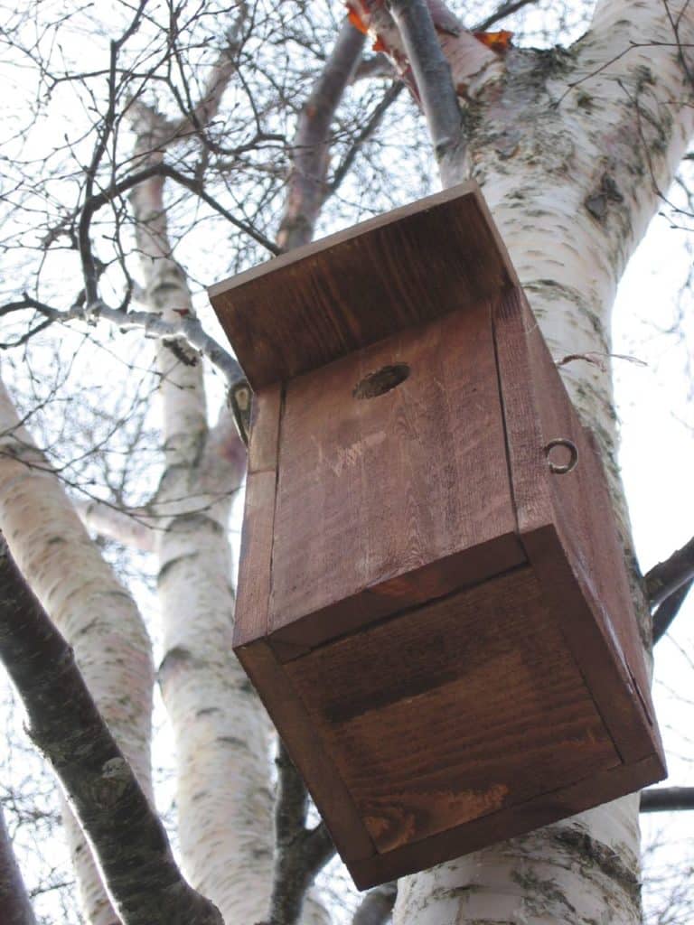 Nesting_box