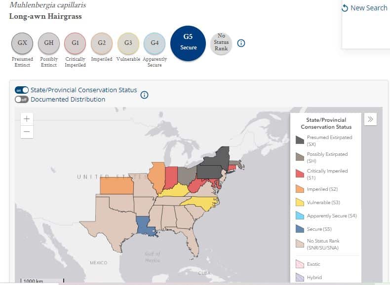 State Level Conservation Status - Nature Serve 