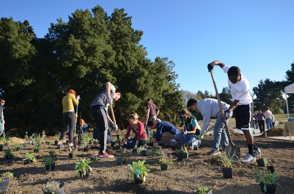 Photo Source: UC Davis Arboretum and Public Garden