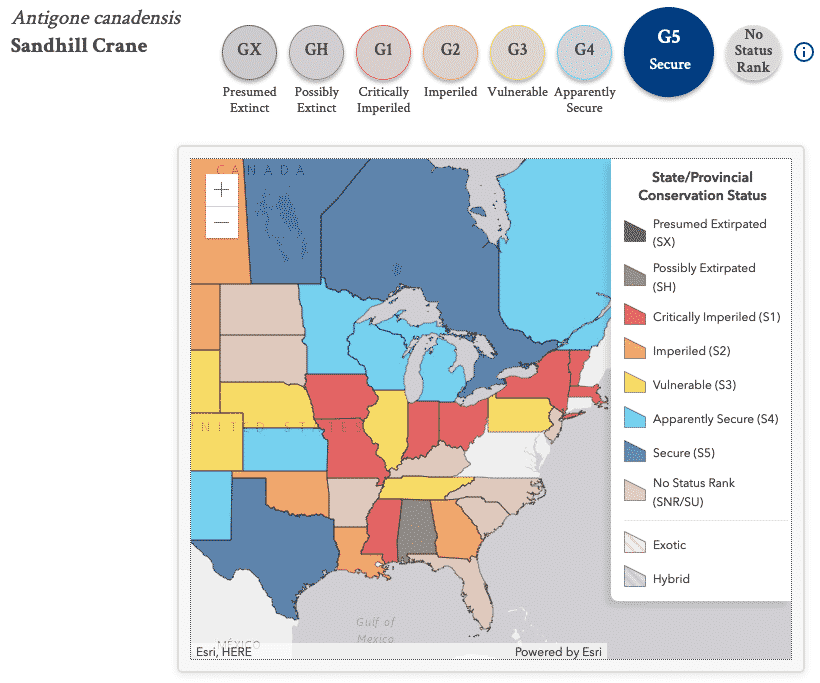 State Level Conservation Status - Nature Serve