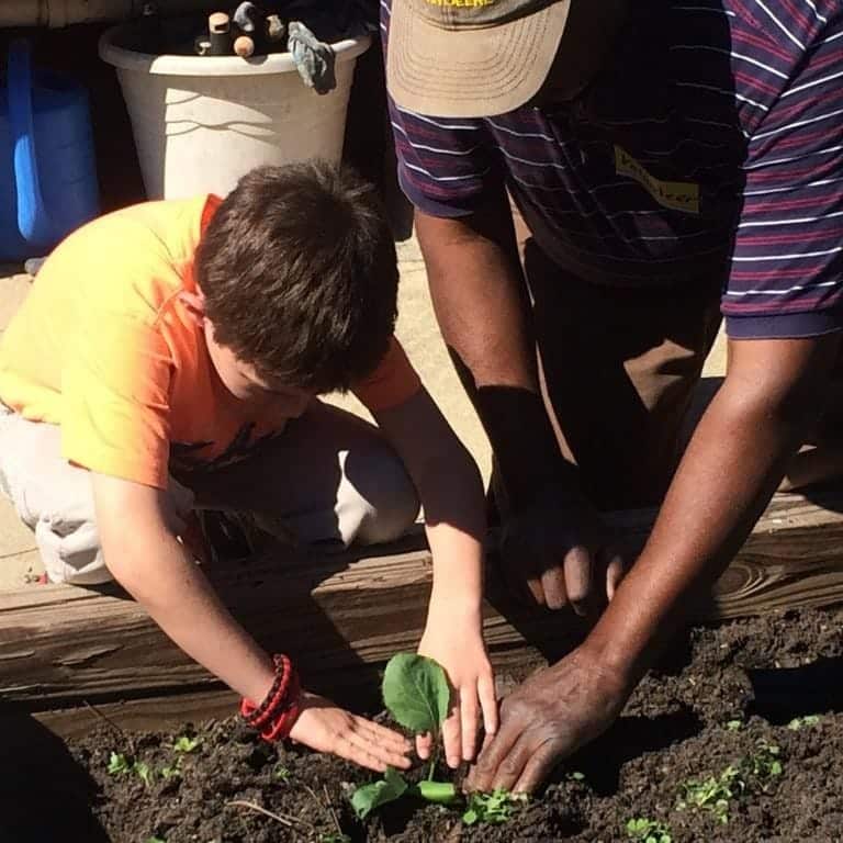 Photo Source: University of Georgia Extension