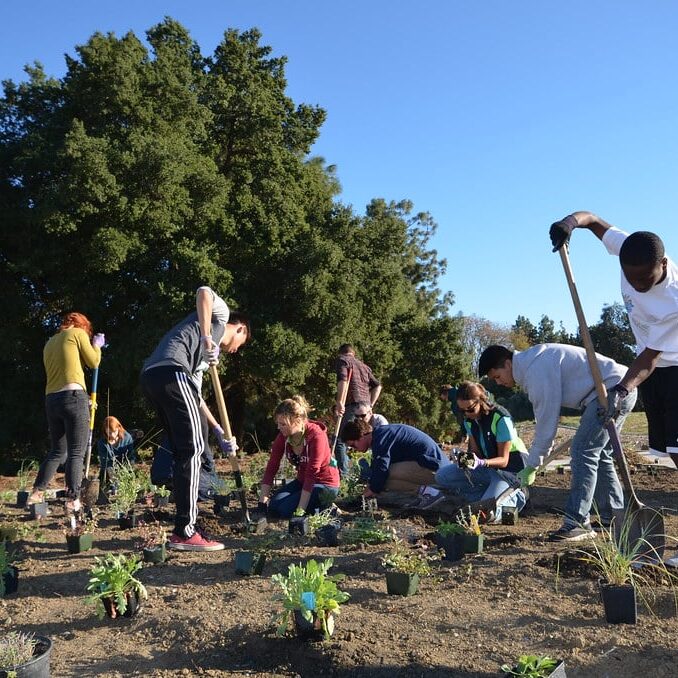 Photo Source: UC Davis Arboretum and Public Garden