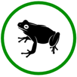 Frog Green
