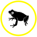Frog Yellow