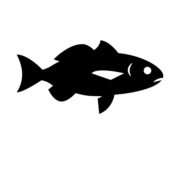 noun_Fish