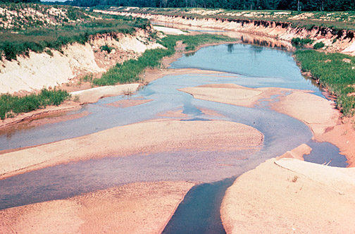 Siltation_or_Sedimentation