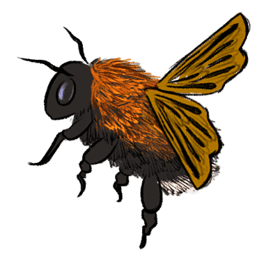 bee-right