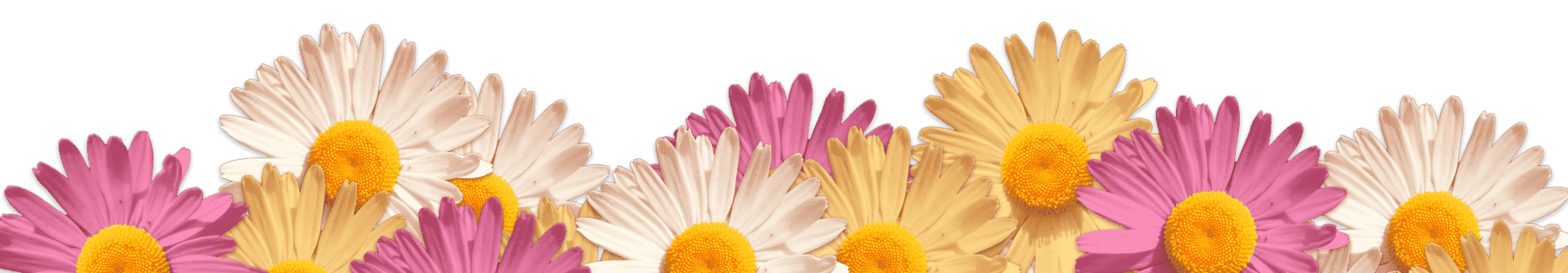 flower-panel