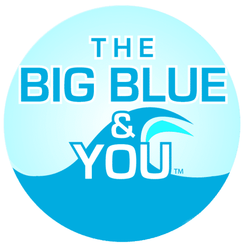 big blue & you logo