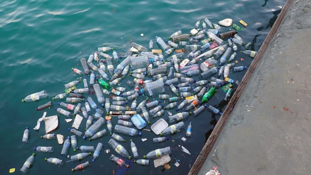 plastic-3151246_1920-1024x577