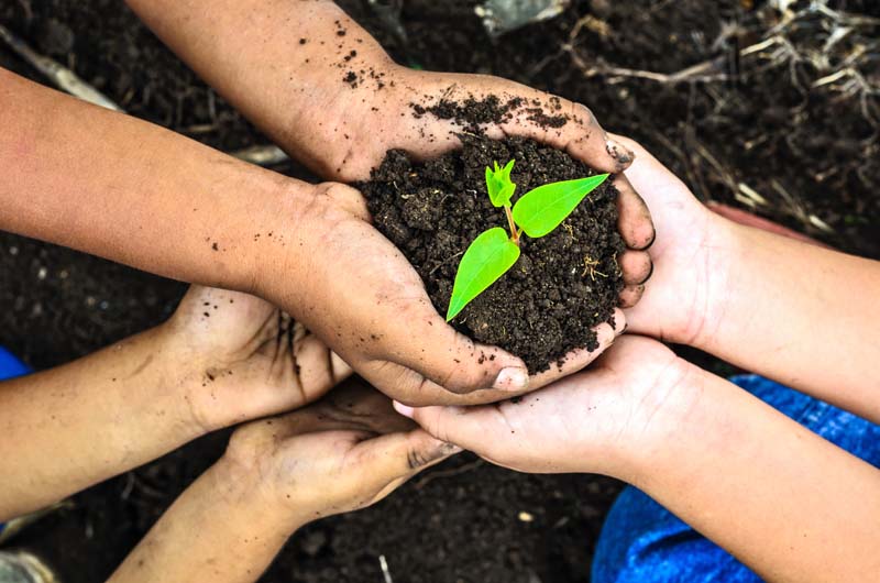 kids-planting-in-garden
