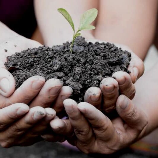 SoilHandsCard2